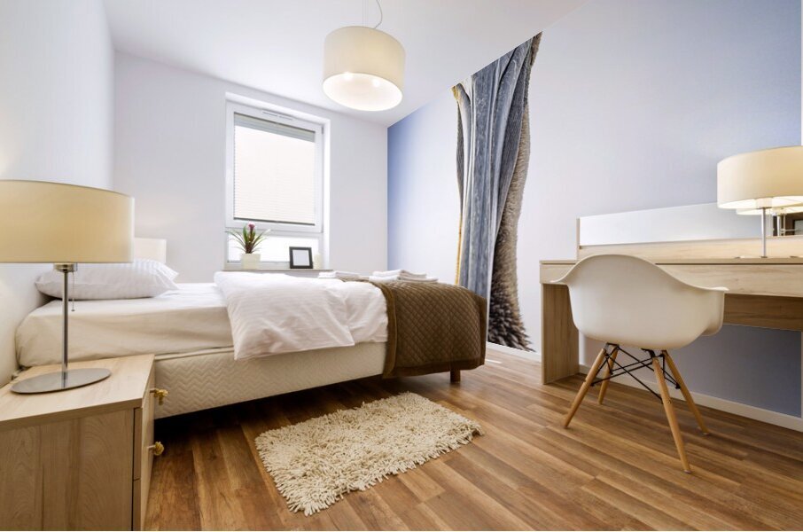 Store Dania Beach AE2A8738 Mural print