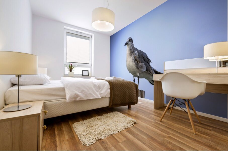 Store Dania Beach AE2A8868 Mural print