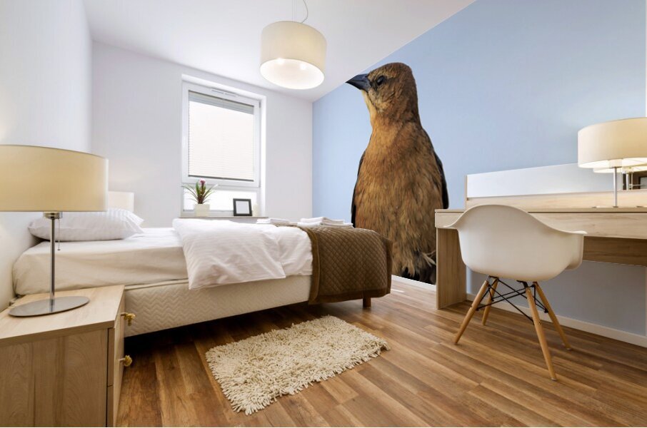 Store Dania Beach AE2A8779 Mural print