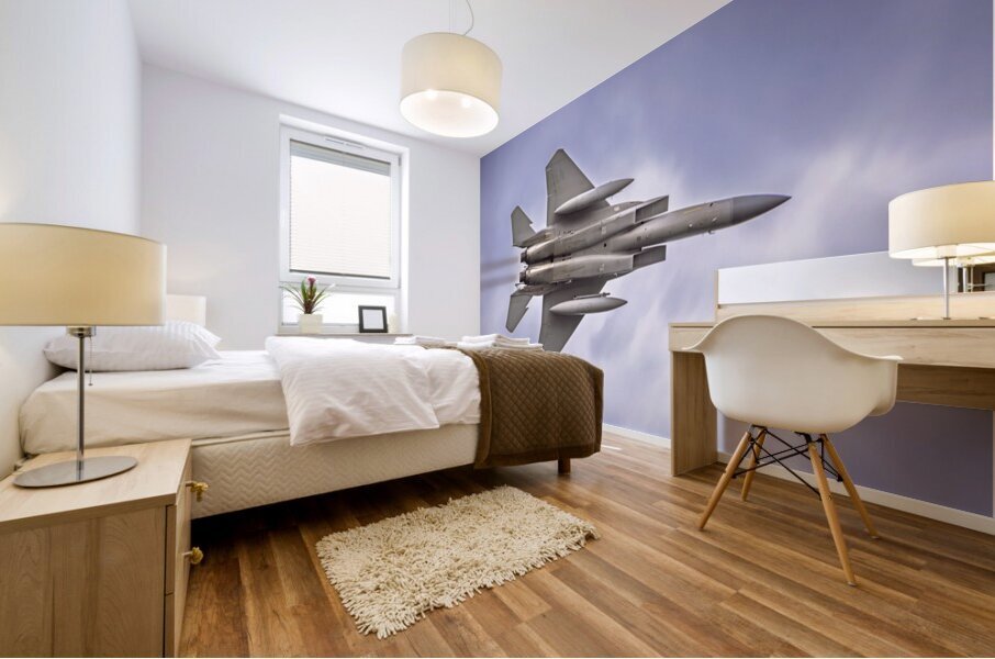 AirShow F15 AE2A2851 Mural print