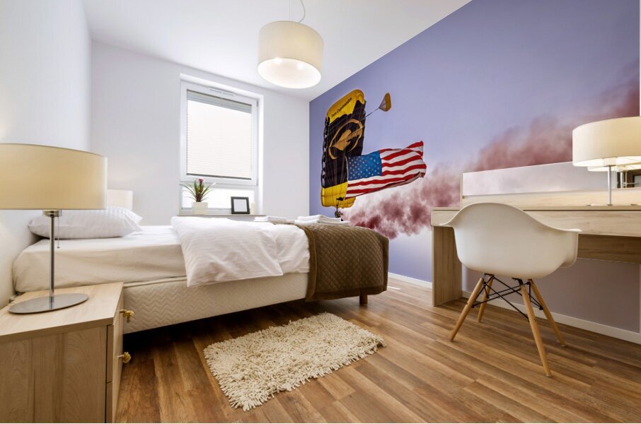 Store FLLAirShow AE2A2796 Mural print