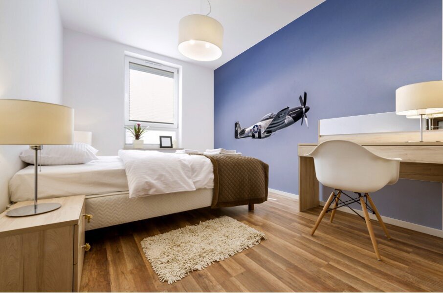 Store FLLAirShow AE2A3758 Mural print