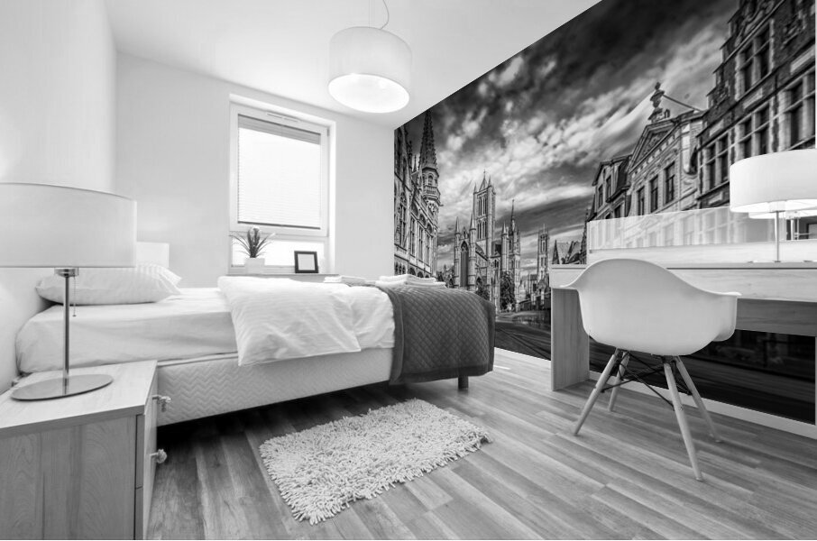 Belgium E2A9062 BW Mural print