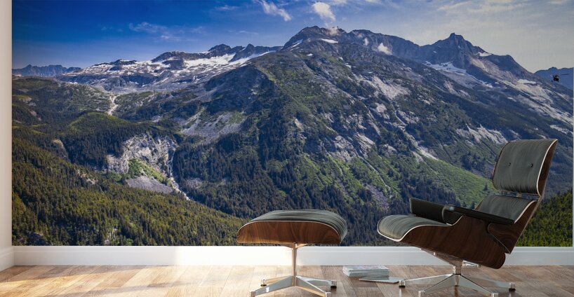 Alaska Mountain Wall Murals