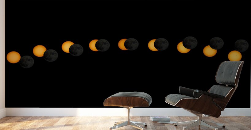 Eclipse_2024 Wall Murals