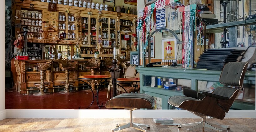 Queretaro Cantina Wall Murals