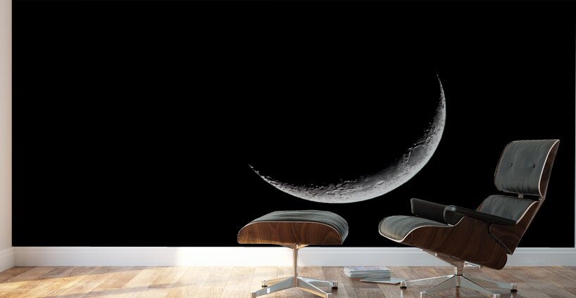 Crescent Moon Wall Murals