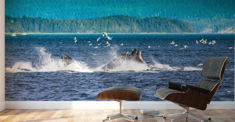 Store Alaska5L3A7688 Wall Murals