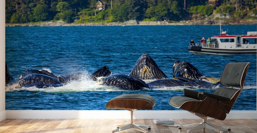 Store Alaska5L3A7546 Wall Murals