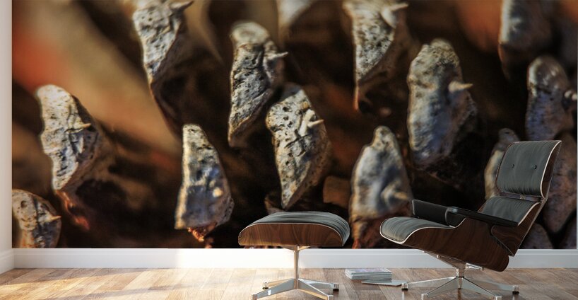 Store Georgia 5L3A0127 Wall Murals