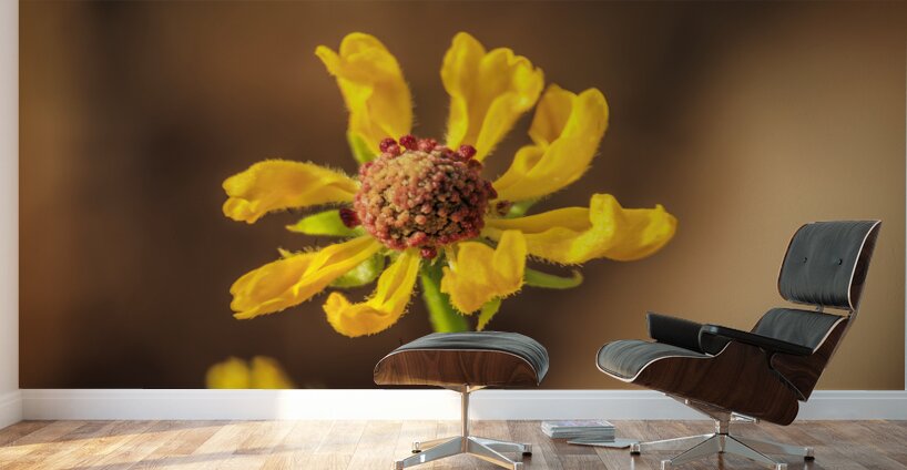 Store Georgia 5L3A0133 Wall Murals