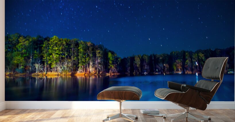 Store Georgia DSC 0711 Wall Murals