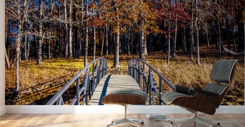 Store Georgia DSC 0626 Wall Murals