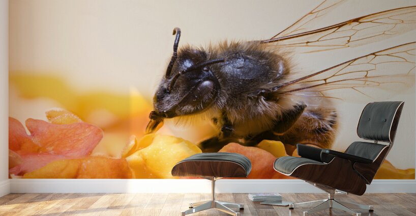 Store Macro 2024 06 16 Wall Murals