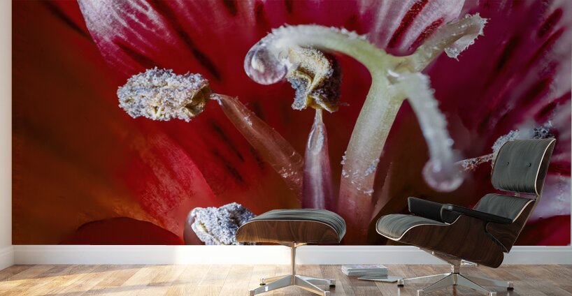 Store Macro 5L3A3662 Wall Murals