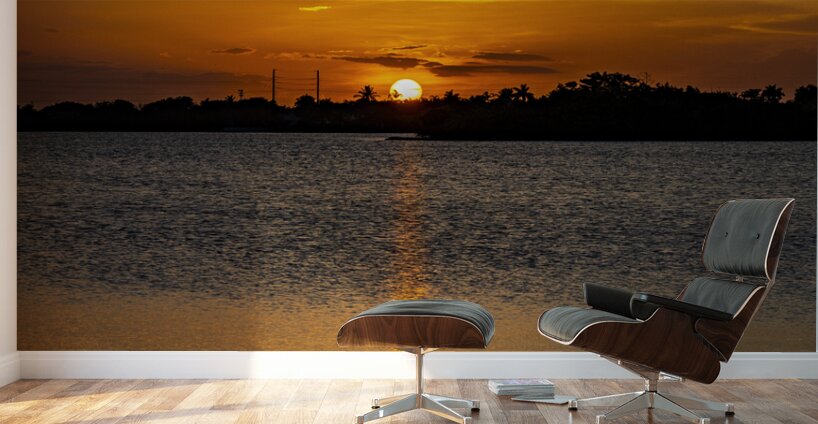 Sunset 12 Wall Murals