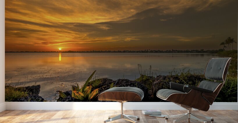 Sunset 8 Wall Murals