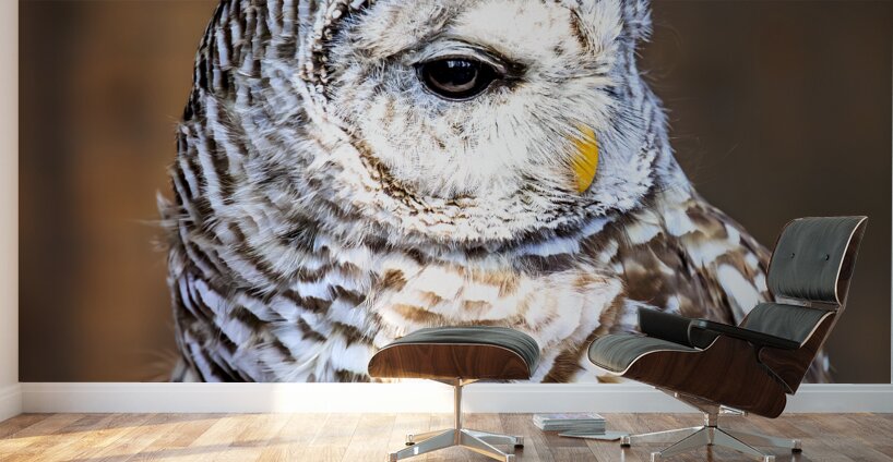 Store Vancouver 5L3A6870 Wall Murals