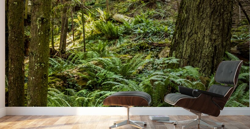 Store Vancouver 5L3A6895 Wall Murals