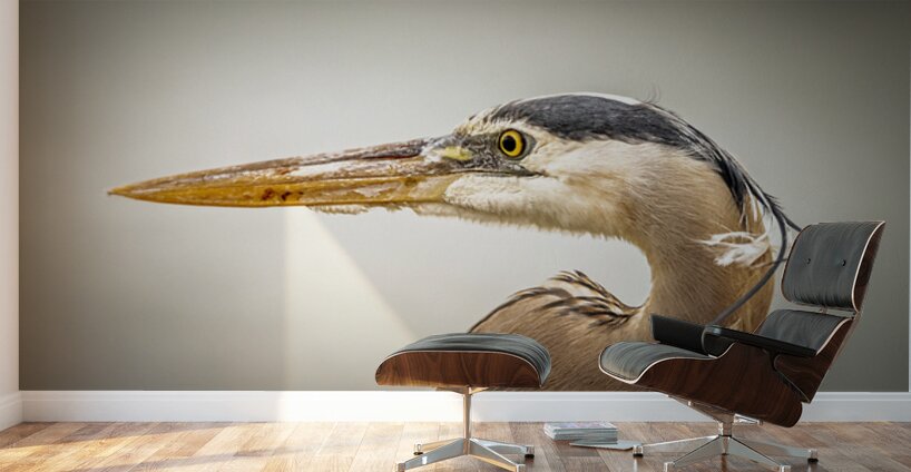 Store Key Biscayne AE2A9025 Wall Murals