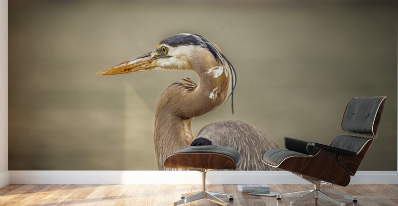 Store Key Biscayne AE2A9010 Wall Murals