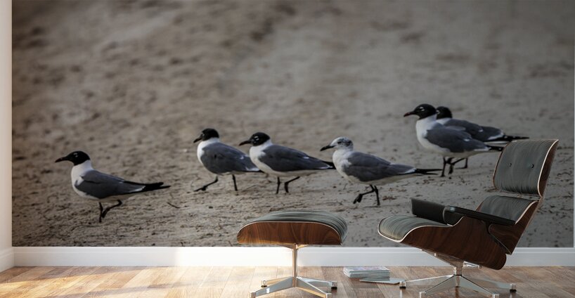 Store Dania Beach AE2A8947 Wall Murals