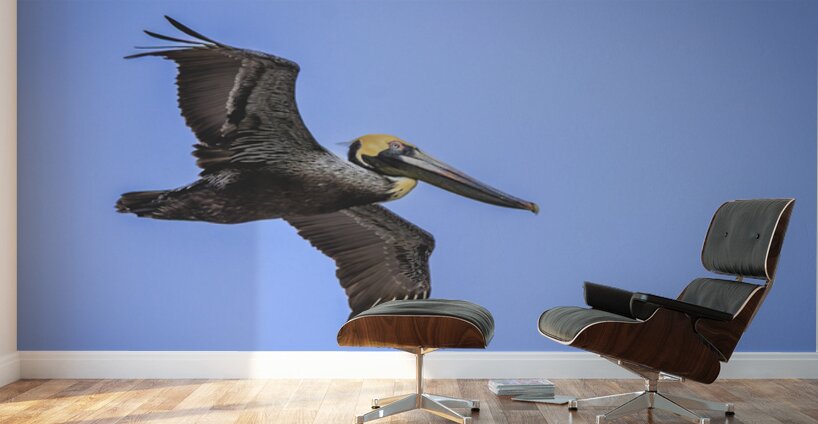 Store Dania Beach AE2A8905 Wall Murals