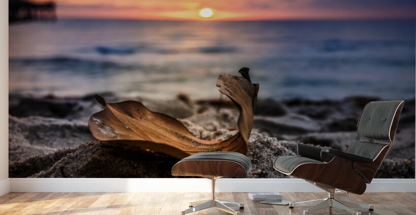 Store Dania Beach AE2A8654 Wall Murals