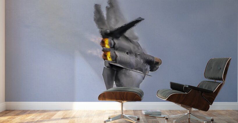 Store FLLAirShow AE2A4043 Wall Murals