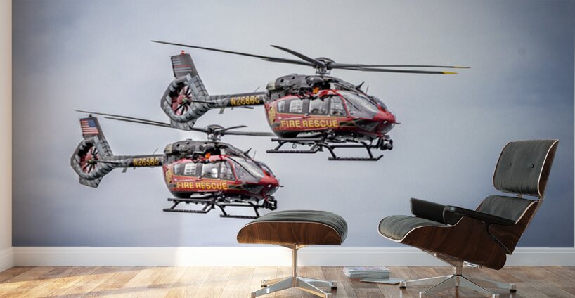 Store FLLAirShow AE2A3613 Wall Murals