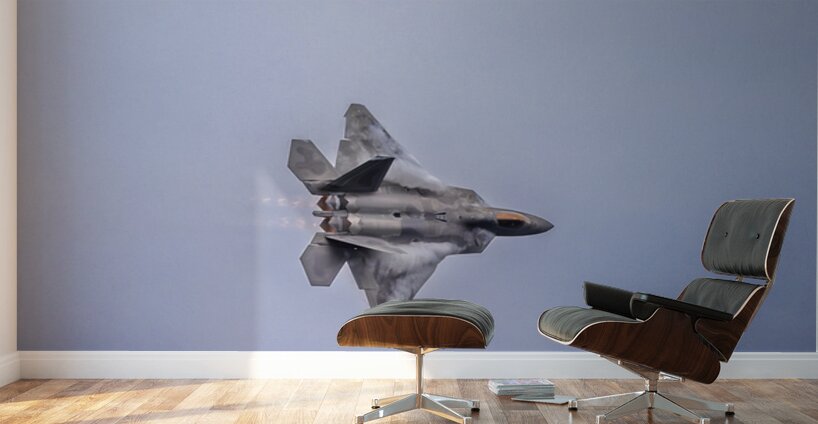 Store FLLAirShow AE2A4054 Wall Murals