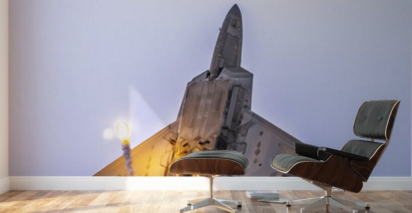 Store FLLAirShow AE2A4776 Wall Murals