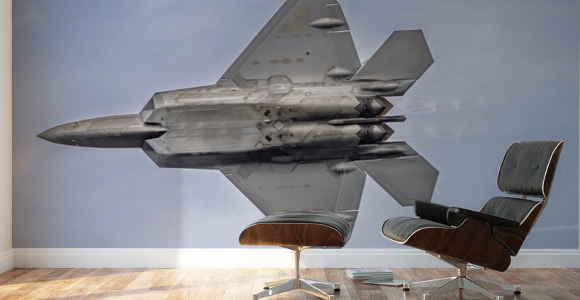 Store FLLAirShow AE2A4018 Wall Murals