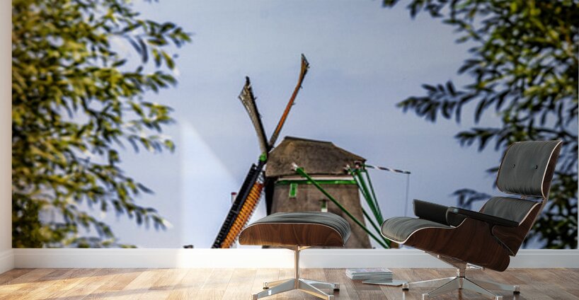 Holland E2A0159 Wall Murals