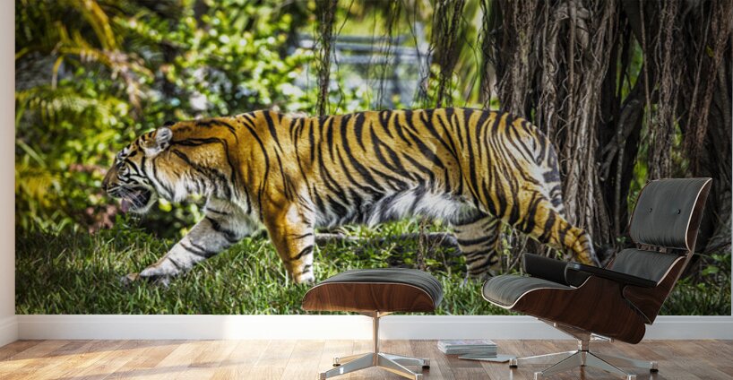 Wildlife 4 Wall Murals