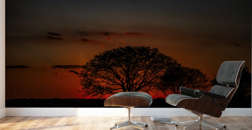 Vista View MG 7330 Wall Murals