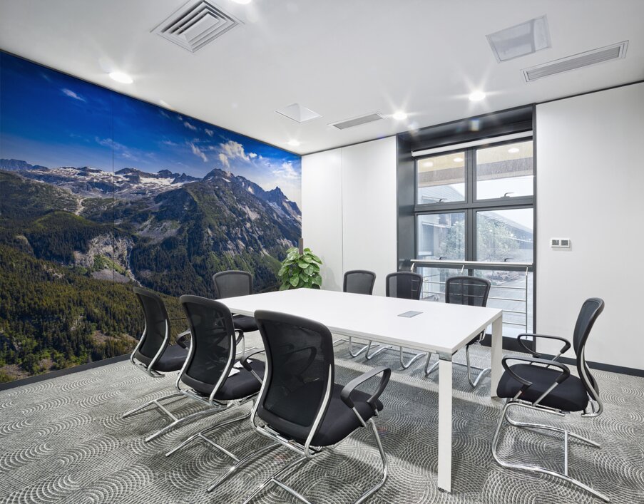 Alaska Mountain Wall Printing