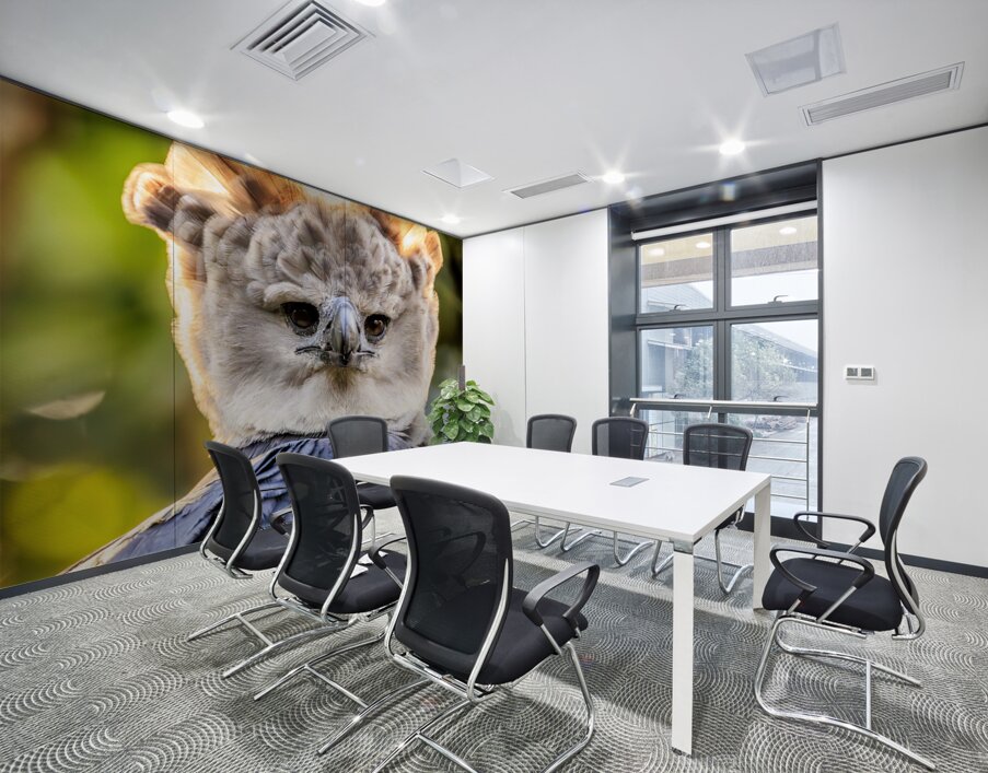 Harpy Eagle Wall Printing