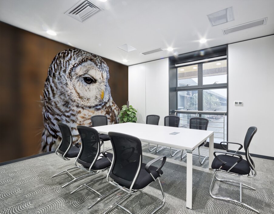 Store Vancouver 5L3A6870 Wall Printing