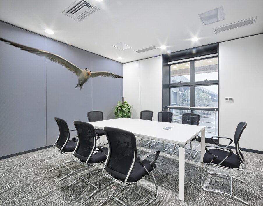 Store Dania Beach AE2A8747 Wall Printing