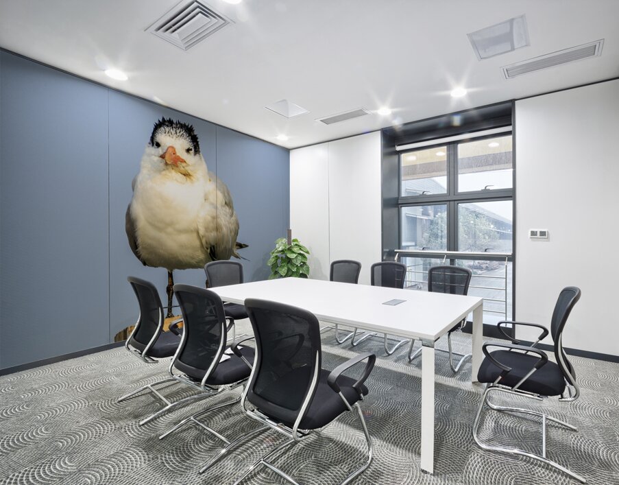 Store Dania Beach AE2A8826 Wall Printing