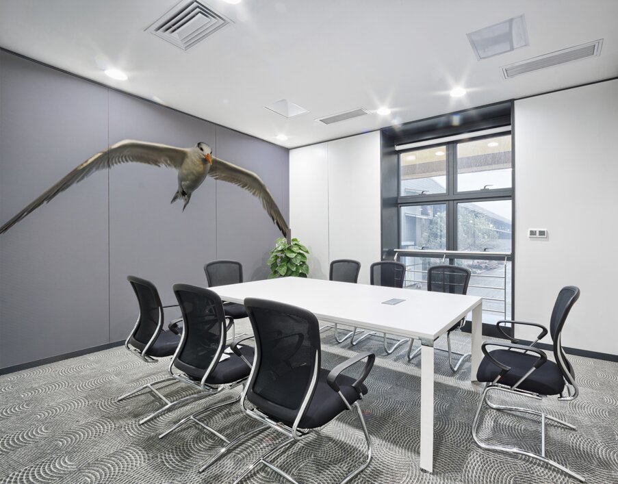 Store Dania Beach AE2A8748 Wall Printing