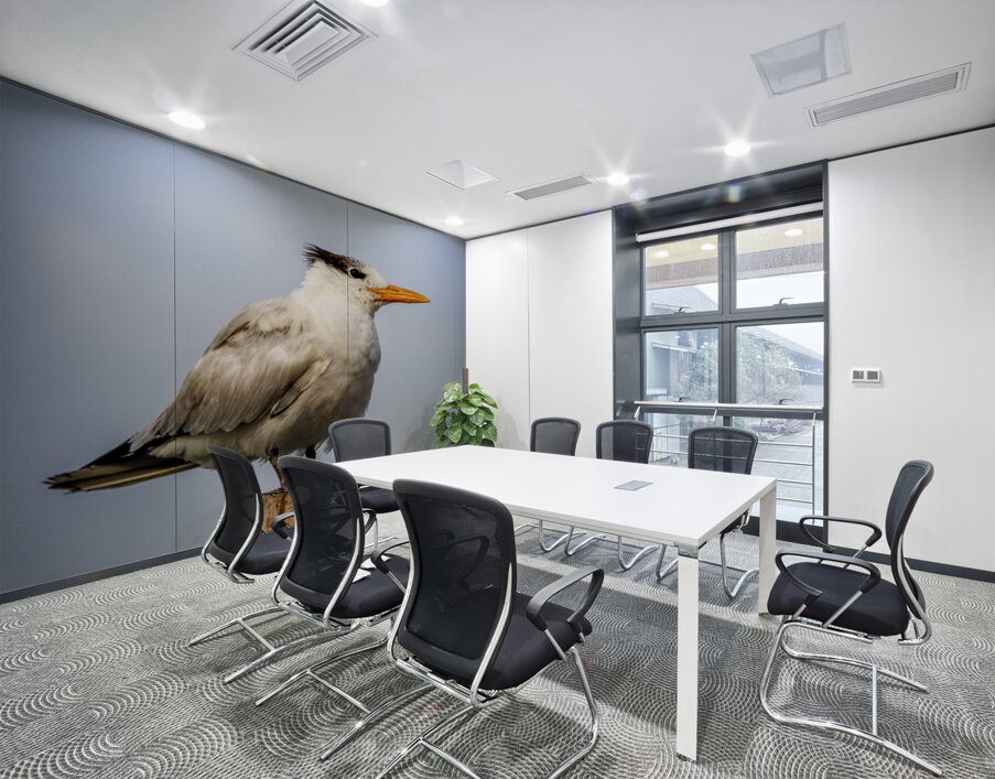 Store Dania Beach AE2A8709 Wall Printing