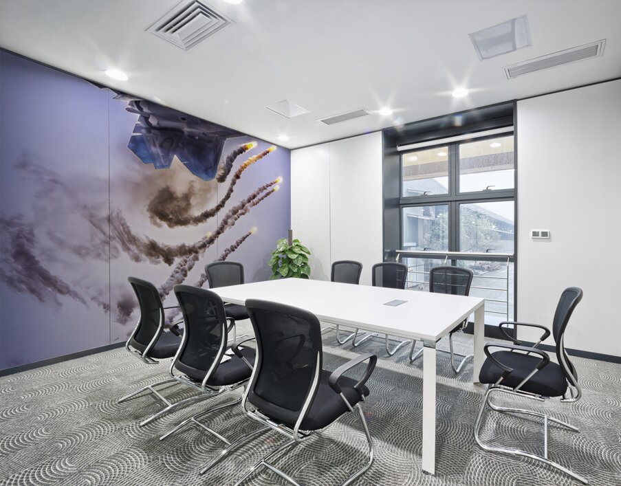 AirShow F22 AE2A5118 Wall Printing