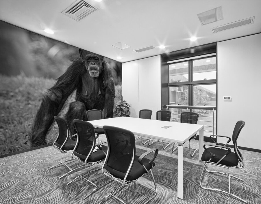 Wildlife 5 Wall Printing