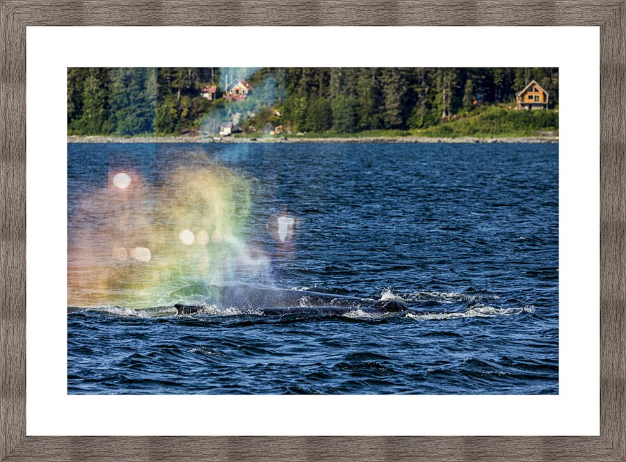 Store Alaska5L3A7628 Picture Frame print