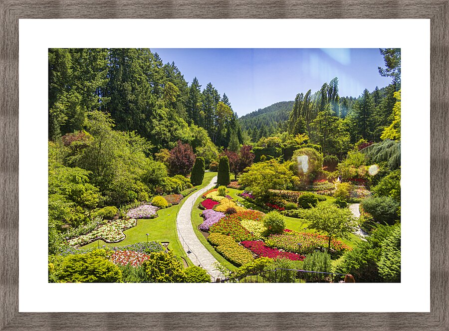 Store Victoria 5L3A8505 Picture Frame print