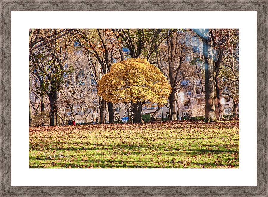 Store New York DSC 4114 Picture Frame print