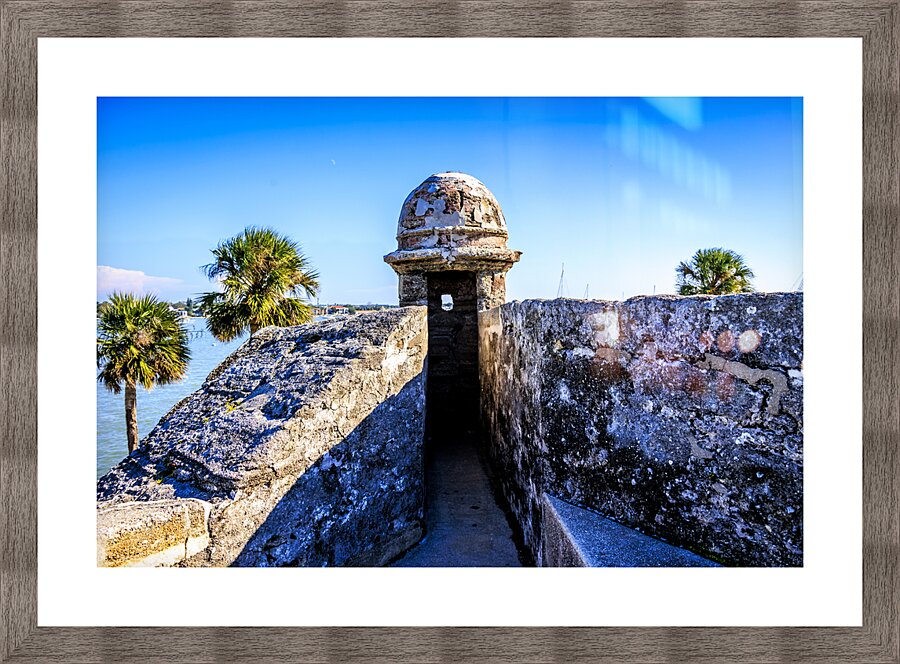 Store Florida 5L3A9392 Picture Frame print