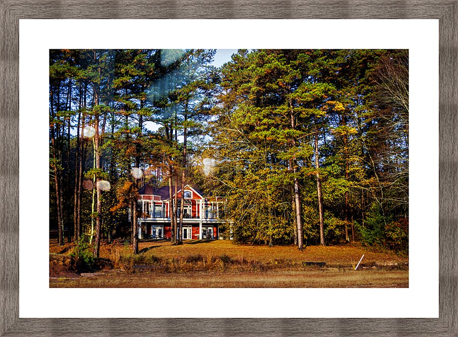 Store Georgia 5L3A9752 Picture Frame print